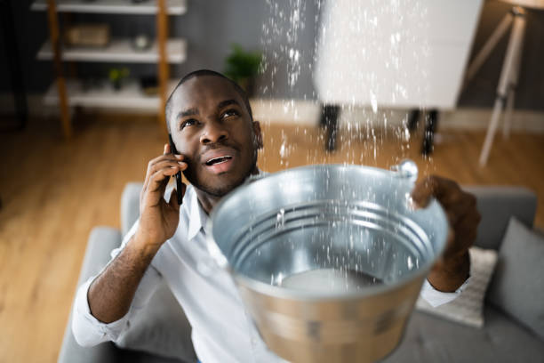 Best Ceiling water damage repair  in Ligh, NE