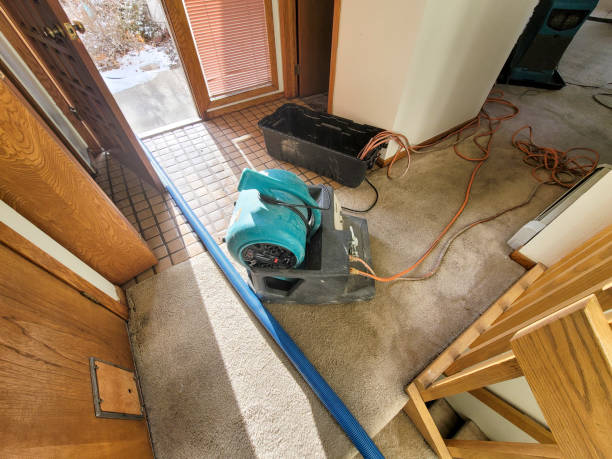 Best Commercial water damage restoration  in Ligh, NE