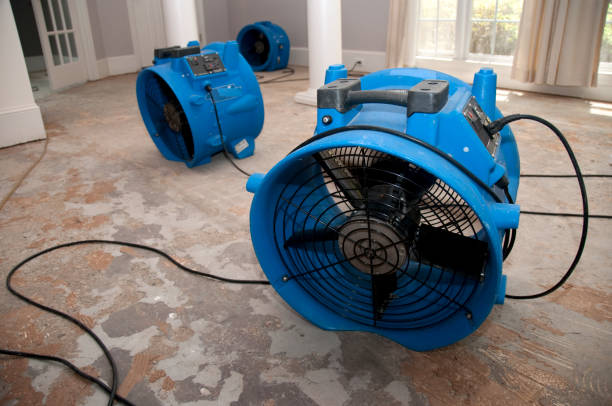 Best Carpet water damage restoration  in Ligh, NE
