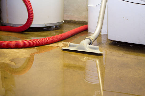 Best Fire Damage Restoration  in Ligh, NE