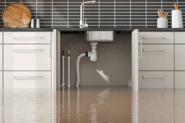 Best Water damage cleanup near me  in Ligh, NE